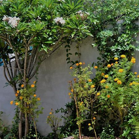 Bellaxy Ceylon Bed & Breakfast Exterior photo